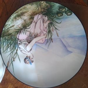 Hand-painted Haviland China signed